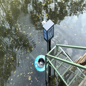水面垃圾自动收集装置